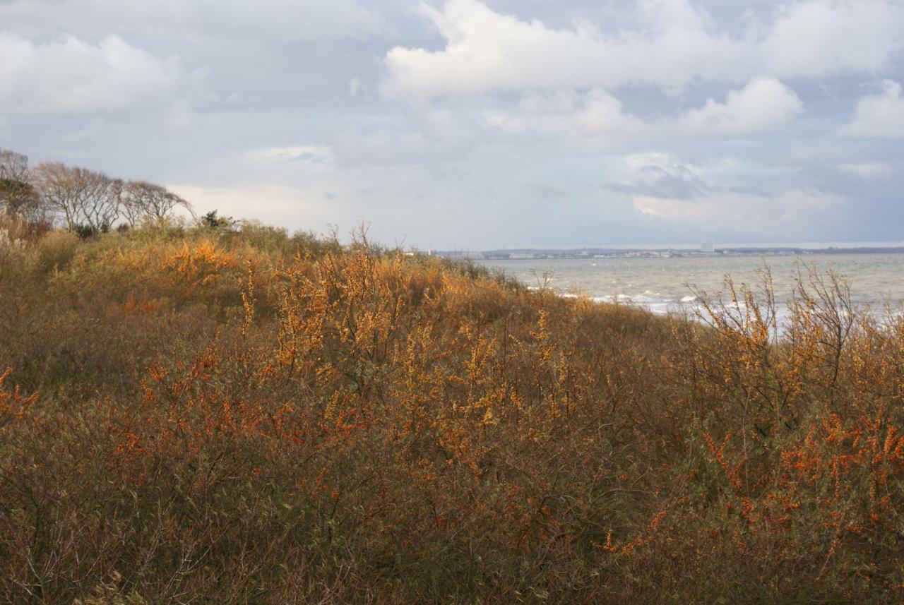 Ostsee Ferienapartments Graal-Muritz Bagian luar foto