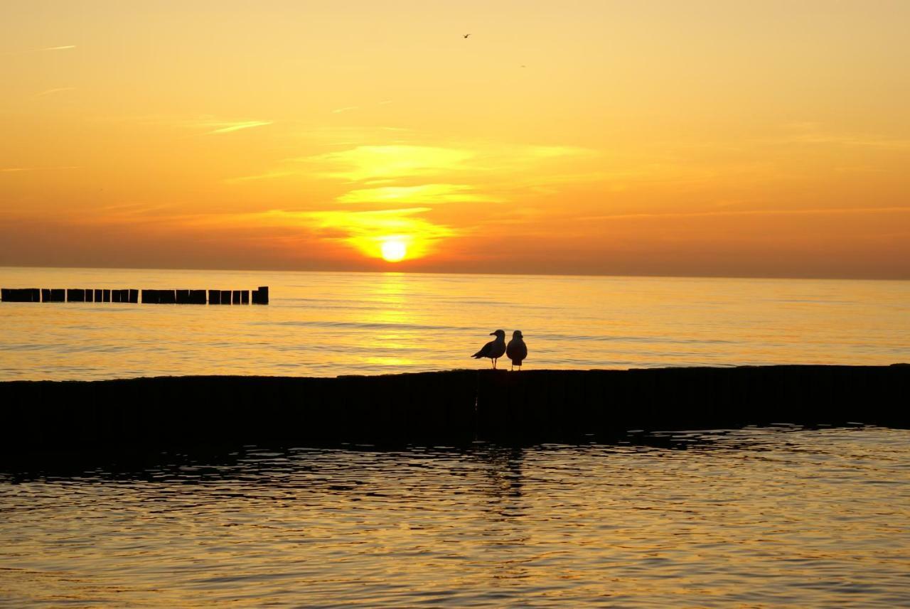 Ostsee Ferienapartments Graal-Muritz Bagian luar foto